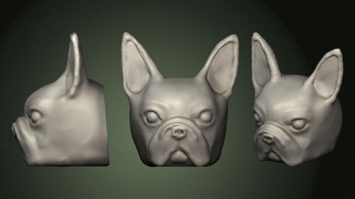Masks and muzzles of animals (MSKJ_0302) 3D model for CNC machine